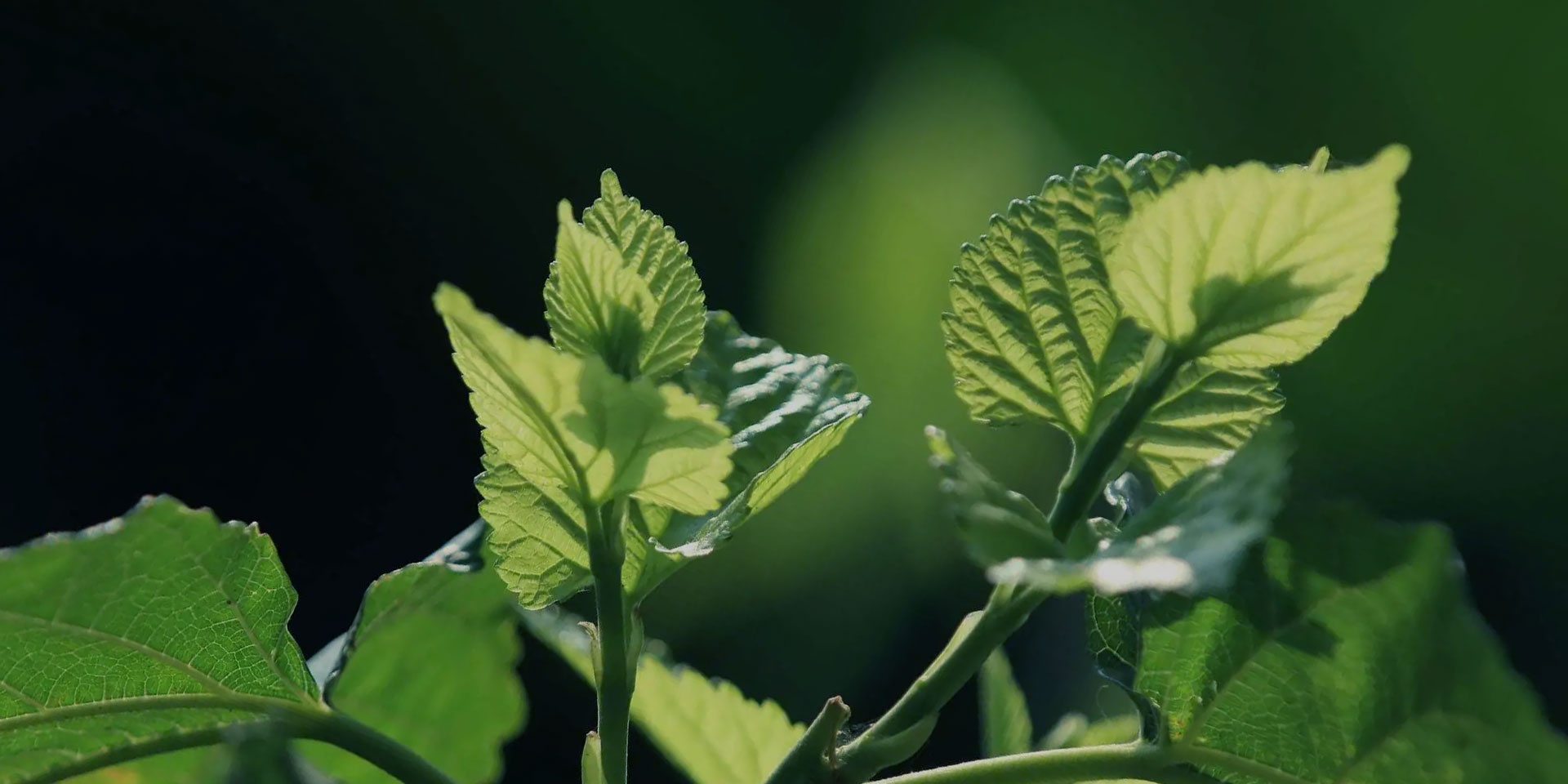 尊龙集团 (中国区)官方网站